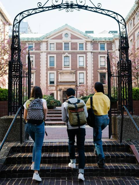 Students at university